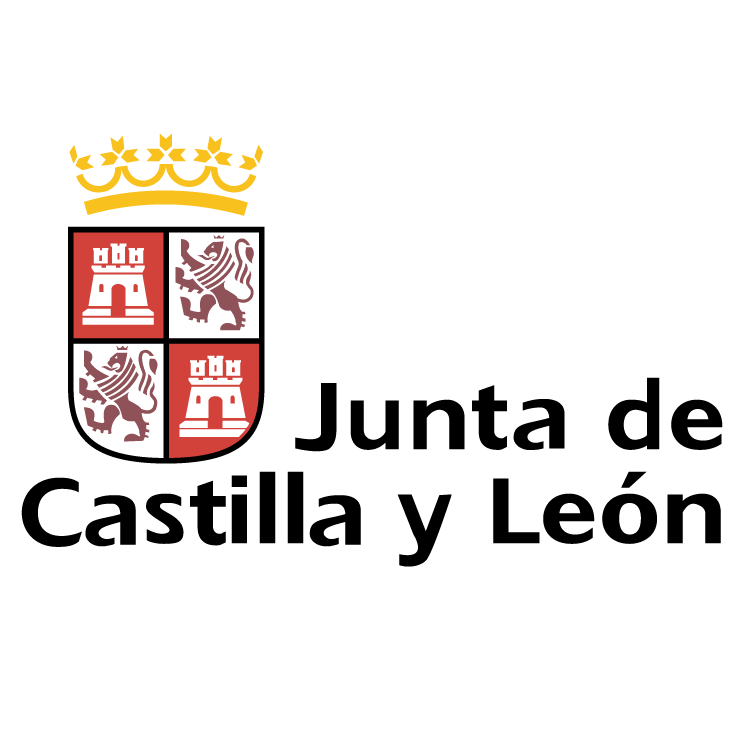 junta de castilla y leon