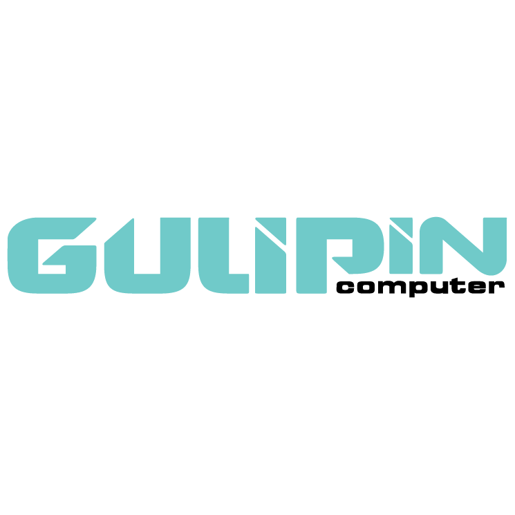 gulipin computer 0