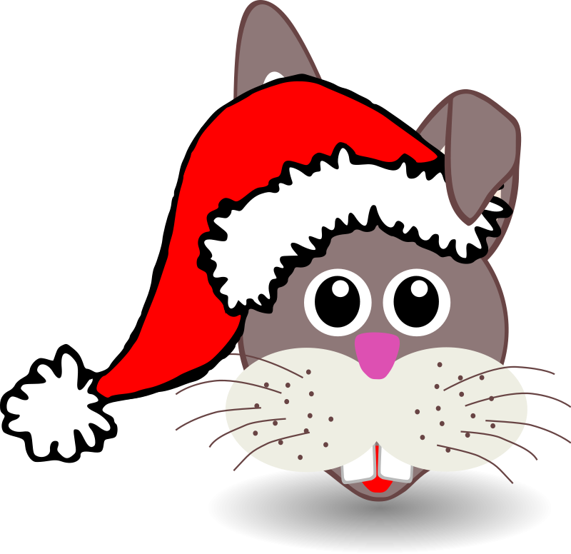 Funny bunny face with Santa Claus hat