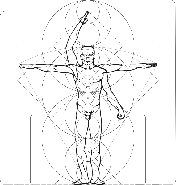 Vitruvian Man clip art