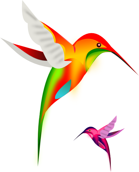 Colibri Birds clip art