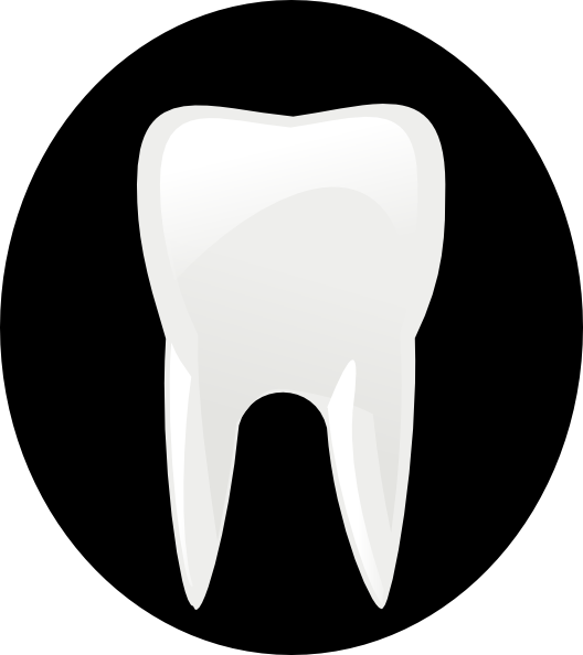 Tooth Molar clip art