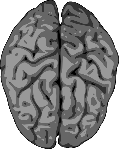 Grey Brain clip art