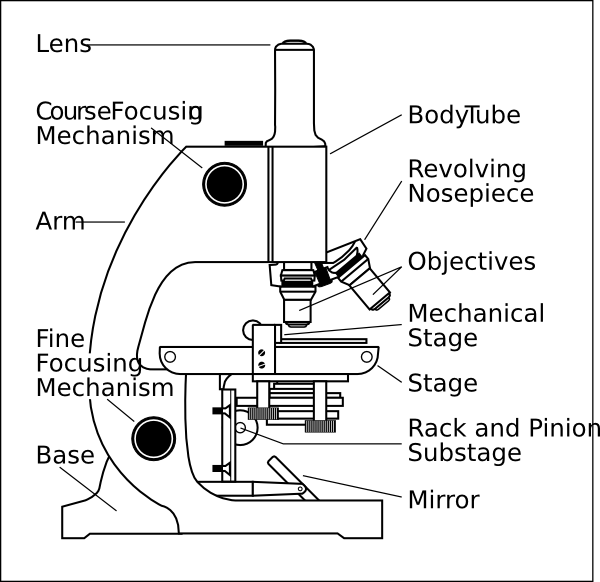 Microscope With Labels clip art