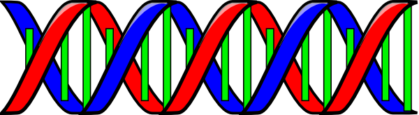 Double Helix clip art