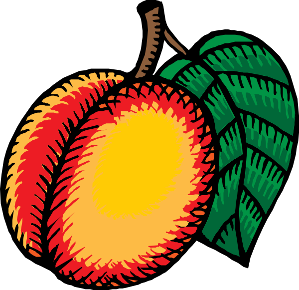 Nectarine clip art