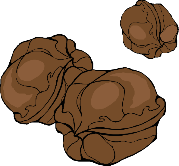 Walnuts clip art