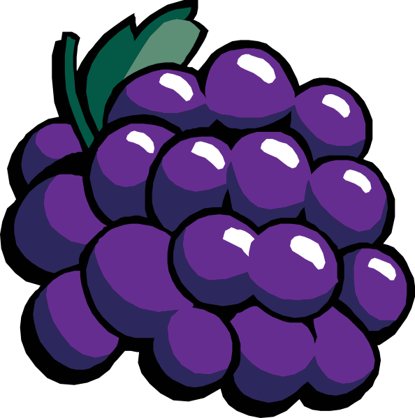 Grapes clip art