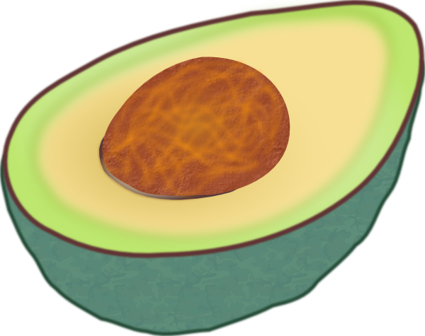 Avocado clip art