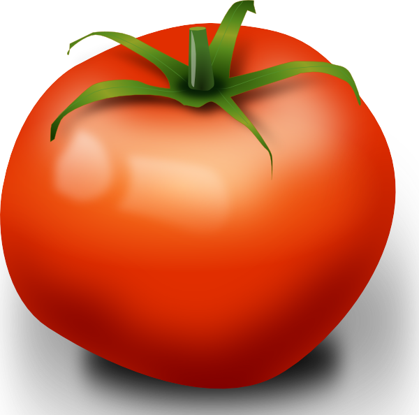 Tomato clip art