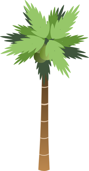 Palm Tree clip art