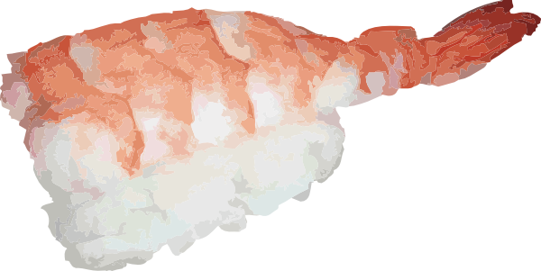 Ebi Nigiri Sushi clip art