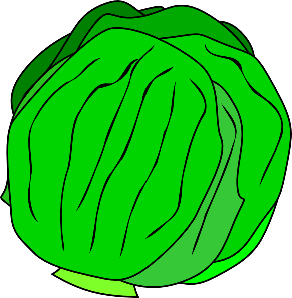 Whole Lettuce clip art