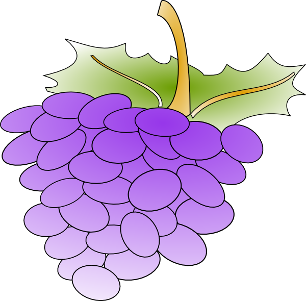 Grapes clip art