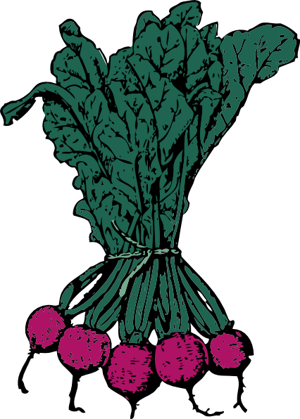 Beets clip art