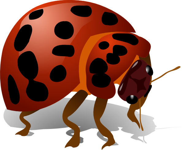 Lady Bug clip art