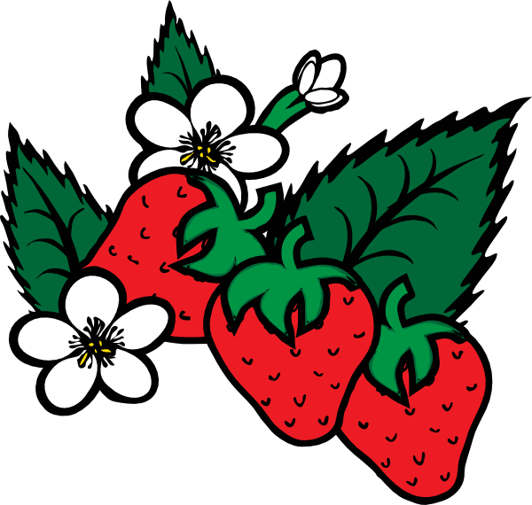 Strawberries clip art