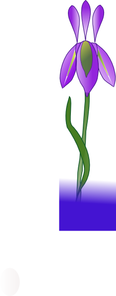 Iris clip art