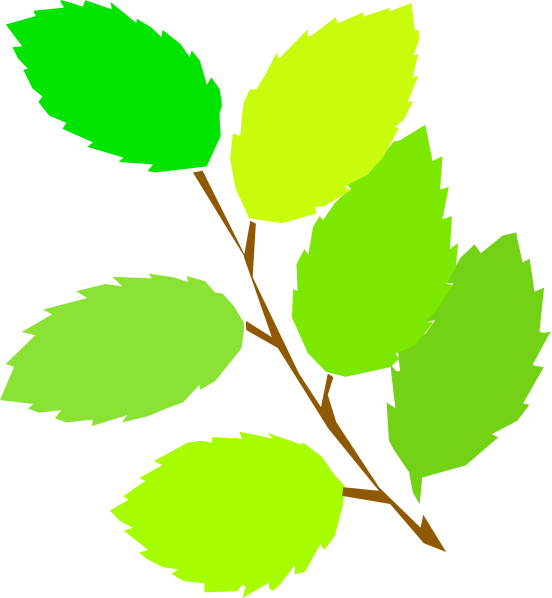 New Leaves Spring clip art