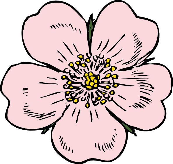 Wild Rose clip art