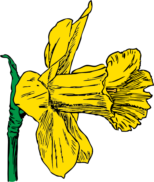 Daffodil clip art