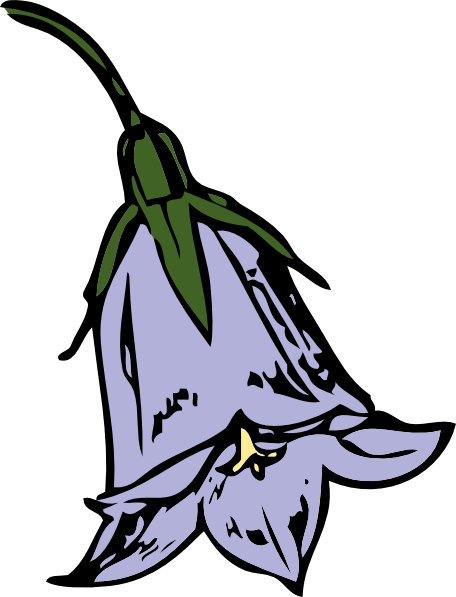 Harebell clip art