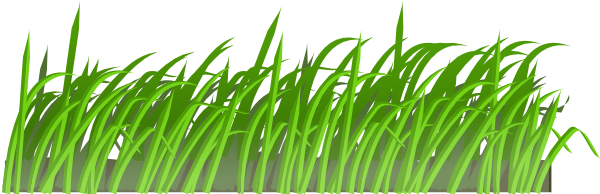 Grass Texture clip art