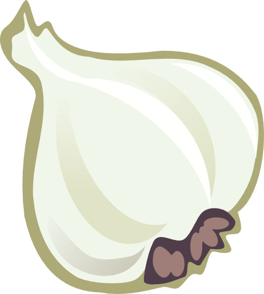 Garlic clip art