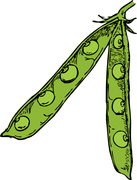 Pea Pod clip art