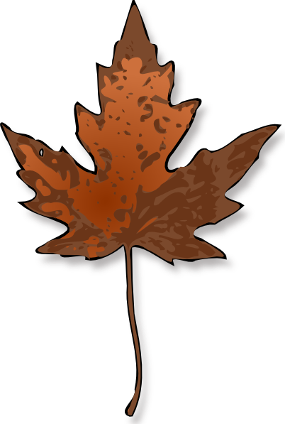 Maple Leaf clip art