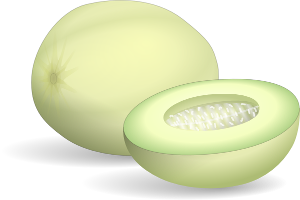 Honeydew Melon clip art