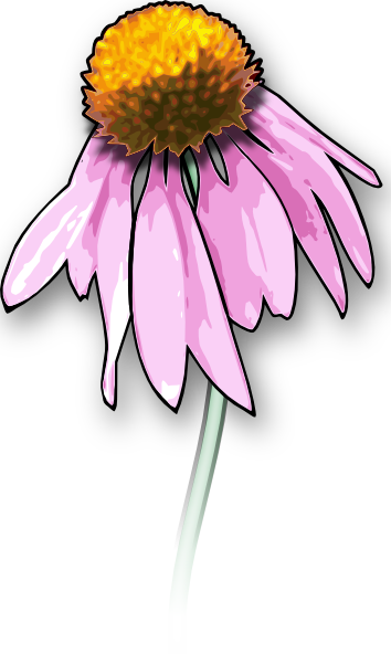 Dead Flower clip art