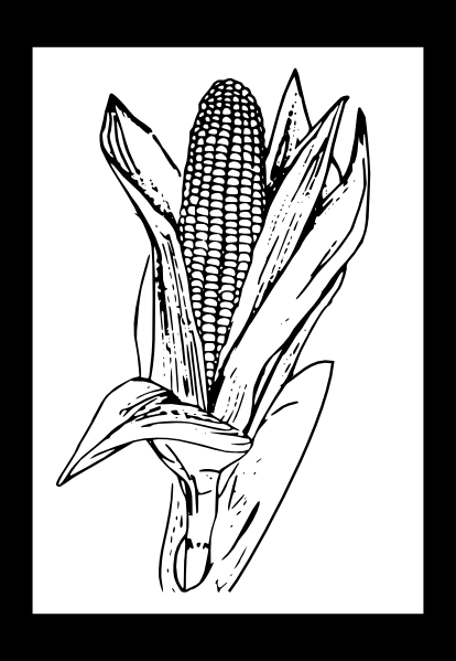 Corn clip art