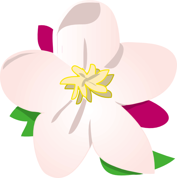 Apple Blossom clip art