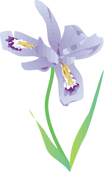 Dwarf Lake Iris clip art