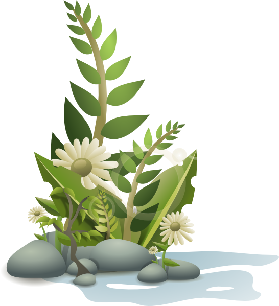 Andy Plants Pebbles And Flowers clip art