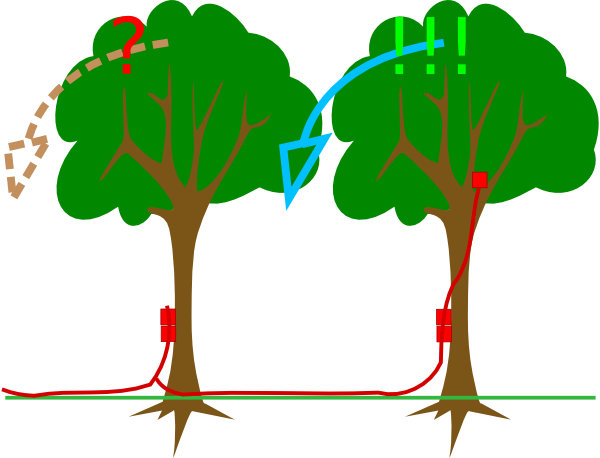 Explosives On Trees clip art