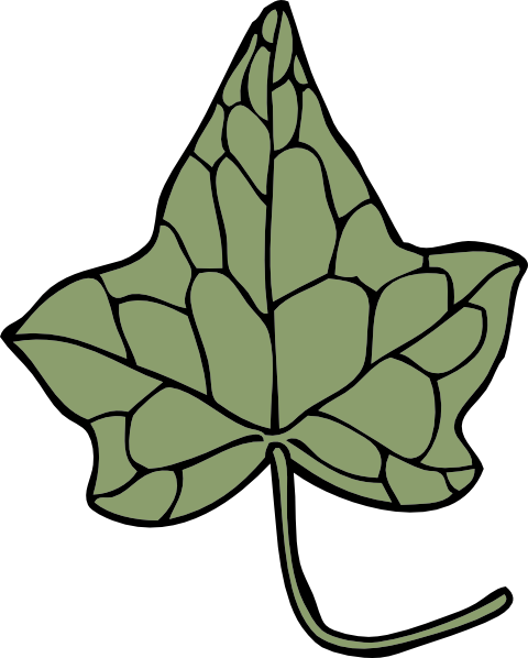 Oak Ivy Leaf clip art