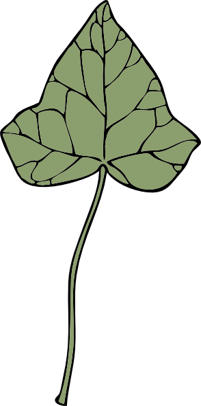 Ivy Leaf clip art