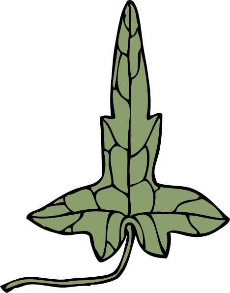 Ivy Leaf clip art