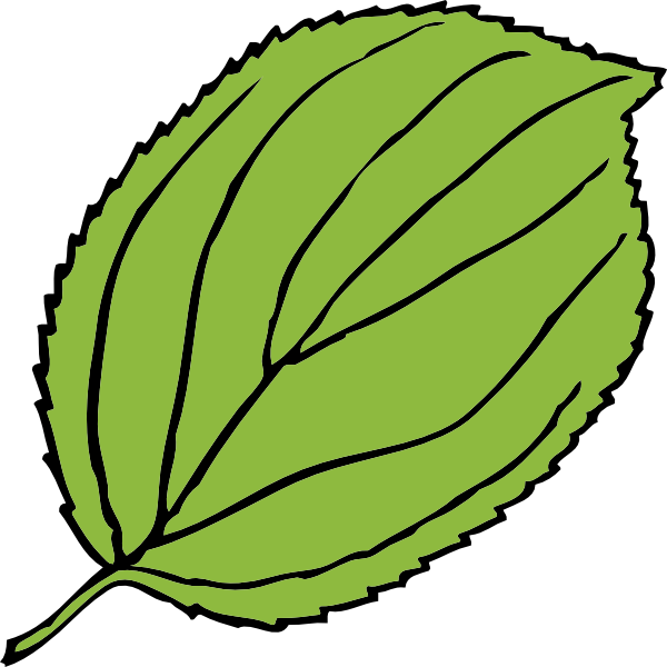 Serrate Leaf clip art