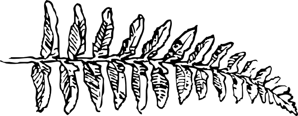 Fern Branch clip art