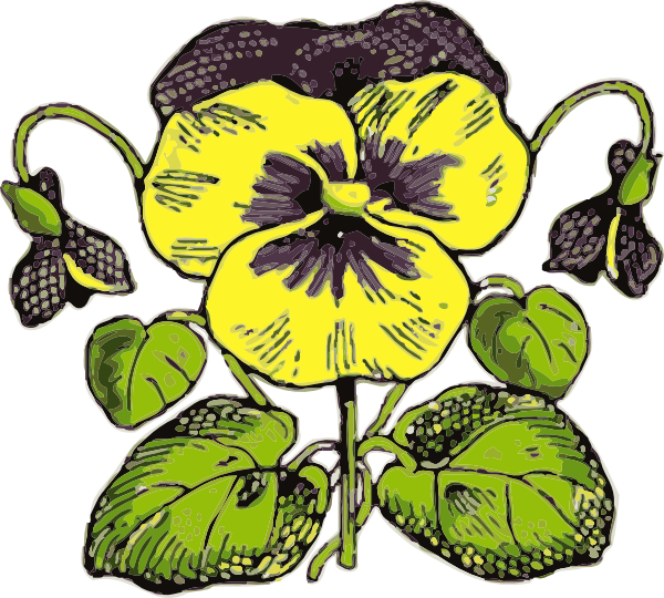 Pansy clip art