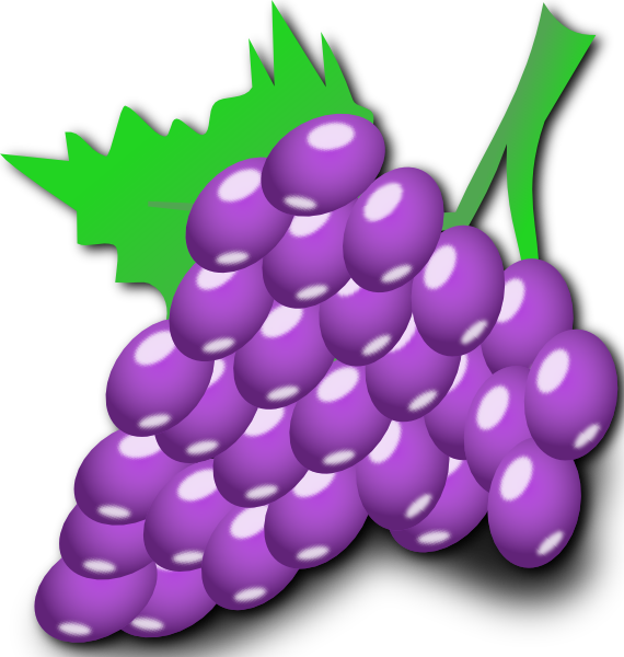 Grapes clip art