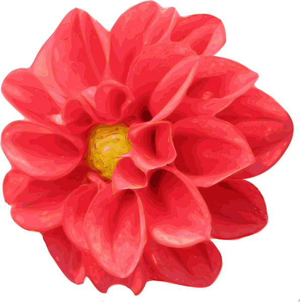 Dahlia clip art