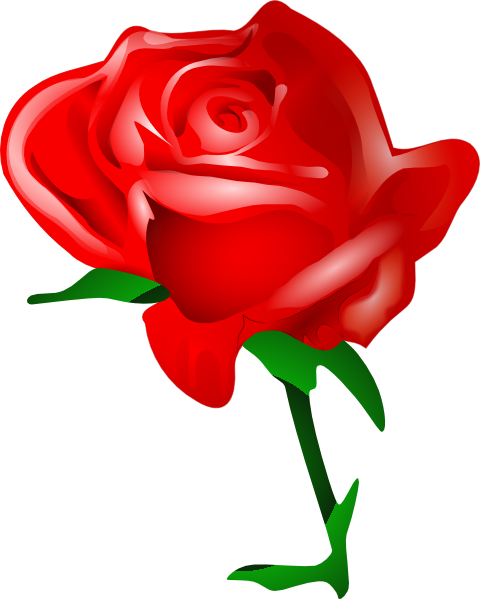 Redrose clip art