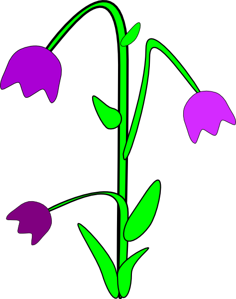 Purple Bell Flowers clip art