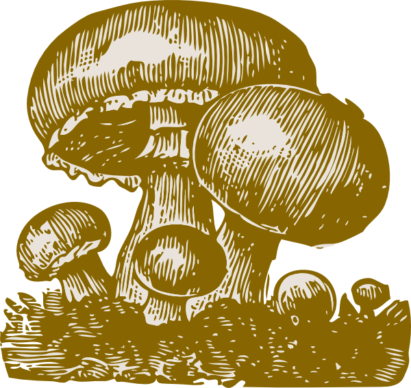 Mushrooms clip art