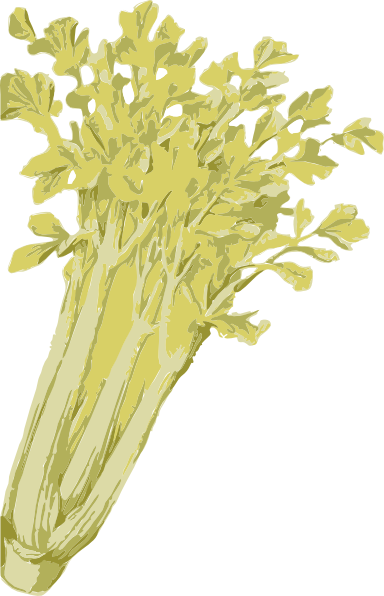 Celery clip art