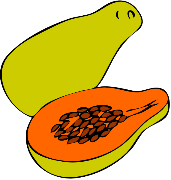 Papaya clip art